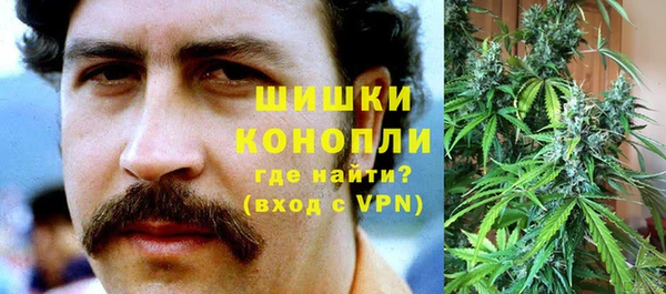молекула духа Горняк