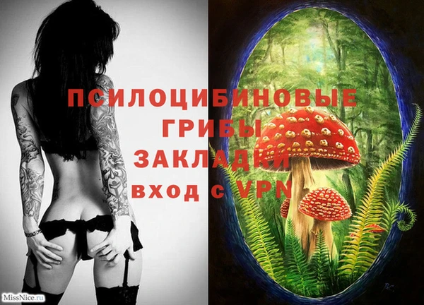 соль курить ск Горнозаводск