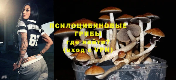 дживик Горно-Алтайск