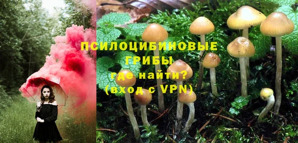 соль курить ск Горнозаводск